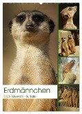 Erdmännchen-Meerkats-Surikate (Wandkalender 2025 DIN A2 hoch), CALVENDO Monatskalender - Peter Hebgen