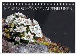 Meine 12 schönsten Alpenblumen (Tischkalender 2025 DIN A5 quer), CALVENDO Monatskalender - Christa Kramer