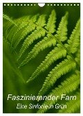 Faszinierender Farn - Eine Sinfonie in Grün (Wandkalender 2024 DIN A4 hoch), CALVENDO Monatskalender - Brigitte Deus-Neumann