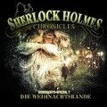 Xmas-Special: Die Weihnachtsbande -Folge 7 - Sherlock Holmes Chronicles