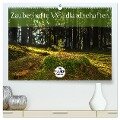 Zauberhafte Waldlandschaften (hochwertiger Premium Wandkalender 2024 DIN A2 quer), Kunstdruck in Hochglanz - Marcel Wenk