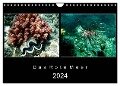 Das Rote Meer ¿ 2024 (Wandkalender 2024 DIN A4 quer), CALVENDO Monatskalender - Hamburg Mirko Weigt