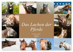 Das Lachen der Pferde - Lustige Gesichter (Tischkalender 2025 DIN A5 quer), CALVENDO Monatskalender - Meike Bölts