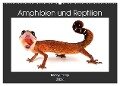 Amphibien und Reptilien (Wandkalender 2024 DIN A2 quer), CALVENDO Monatskalender - Benny Trapp