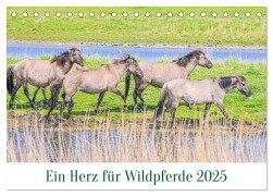 Ein Herz für Wildpferde (Tischkalender 2025 DIN A5 quer), CALVENDO Monatskalender - Rainer Plett