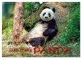 Niedlicher Panda (Wandkalender 2024 DIN A3 quer), CALVENDO Monatskalender - Peter Roder
