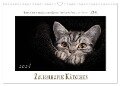 Zauberhafte Kätzchen (Wandkalender 2024 DIN A3 quer), CALVENDO Monatskalender - Martina Wrede