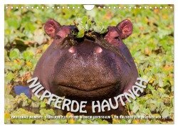 Cover-Bild zum Titel 'Emotionale Momente: Nilpferde hautnah (Wandkalender 2026 DIN A4 quer), CALVENDO Monatskalender' von 'Ingo Gerlach GDT'