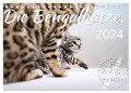 Die Bengalkatze. Edition Jungtiere (Tischkalender 2024 DIN A5 quer), CALVENDO Monatskalender - Sylvio Banker