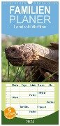 Familienplaner 2024 - Landschildkröten mit 5 Spalten (Wandkalender, 21 x 45 cm) CALVENDO - Marion Sixt