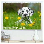 Dalmatiner 2026 (hochwertiger Premium Wandkalender 2026 DIN A2 quer), Kunstdruck in Hochglanz - Judith Dzierzawa