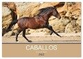 Caballos Spanische Pferde 2025 (Wandkalender 2025 DIN A3 quer), CALVENDO Monatskalender - Petra Eckerl Tierfotografie