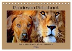 Rhodesian Ridgeback der Hund mit dem Tropfen Löwenblut (Tischkalender 2025 DIN A5 quer), CALVENDO Monatskalender - Dagmar Behrens