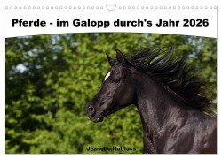 Cover-Bild zum Titel 'Pferde - im Galopp durch's Jahr 2026 (Wandkalender 2026 DIN A3 quer), CALVENDO Monatskalender' von 'Jeanette Hutfluss'