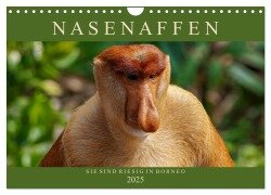 Nasenaffen von Borneo (Wandkalender 2025 DIN A4 quer), CALVENDO Monatskalender - Arne Wünsche