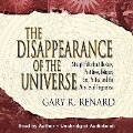 The Disappearance of the Universe - Gary R. Renard