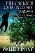 The Flying Boy of Calhoun County, Tennessee: A Tale from the Fringe of Reality - David Wallechinsky