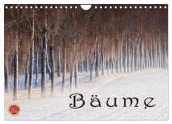 Bäume (Wandkalender 2025 DIN A4 quer), CALVENDO Monatskalender - Martina Cross