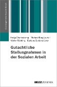 Gutachtliche Stellungnahmen in der Sozialen Arbeit - Barbara Seidenstücker, Michael Borg-Laufs, Walter Röchling