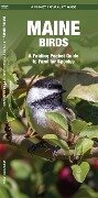Maine Birds - James Kavanagh, Waterford Press