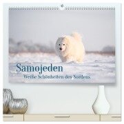 Samojeden - Liebenswerte Fellkugeln (hochwertiger Premium Wandkalender 2026 DIN A2 quer), Kunstdruck in Hochglanz - Annett Mirsberger