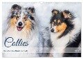 Collies - die schönsten Hunde der Welt (Wandkalender 2024 DIN A3 quer), CALVENDO Monatskalender - Sigrid Starick