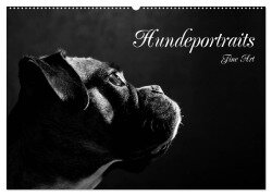 Hundeportraits Fine Art (Wandkalender 2026 DIN A2 quer), CALVENDO Monatskalender - Jana Behr