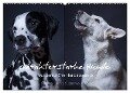 charakterstarke Hunde, wunderschöne Hundeportraits (Wandkalender 2024 DIN A2 quer), CALVENDO Monatskalender - Susanne Stark Sugarsweet - Photo