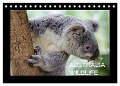 Australia Wildlife (Tischkalender 2024 DIN A5 quer), CALVENDO Monatskalender - Luxscriptura By Wolfgang Schömig