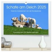 Schafe am Deich 2025. Tierische Impressionen von der Nordseeküste (hochwertiger Premium Wandkalender 2025 DIN A2 quer), Kunstdruck in Hochglanz - Steffani Lehmann