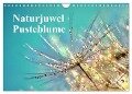 Naturjuwel Pusteblume (Wandkalender 2024 DIN A4 quer), CALVENDO Monatskalender - Julia Delgado