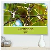 Orchideen Bildergalerie (hochwertiger Premium Wandkalender 2026 DIN A2 quer), Kunstdruck in Hochglanz - Nina Schwarze