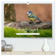 SINGVÖGEL - Die prächtigen Sänger in schönem Ambiente (hochwertiger Premium Wandkalender 2025 DIN A2 quer), Kunstdruck in Hochglanz - Arne Wünsche