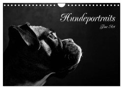 Hundeportraits Fine Art (Wandkalender 2025 DIN A4 quer), CALVENDO Monatskalender - Jana Behr