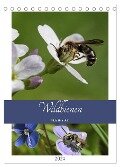Wildbienen-Terminplaner 2024 (Tischkalender 2024 DIN A5 hoch), CALVENDO Monatskalender - Silvia Hahnefeld