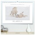 Emotionale Momente: Polarwölfe. / CH-Version (hochwertiger Premium Wandkalender 2025 DIN A2 quer), Kunstdruck in Hochglanz - Ingo Gerlach GDT