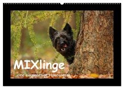 MIXlinge (Wandkalender 2025 DIN A2 quer), CALVENDO Monatskalender - Kathrin Köntopp