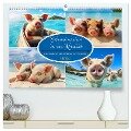 Schweinereien in der Karibik. Sonne und Spaß mit schwimmenden Schweinen (hochwertiger Premium Wandkalender 2024 DIN A2 quer), Kunstdruck in Hochglanz - Rose Hurley