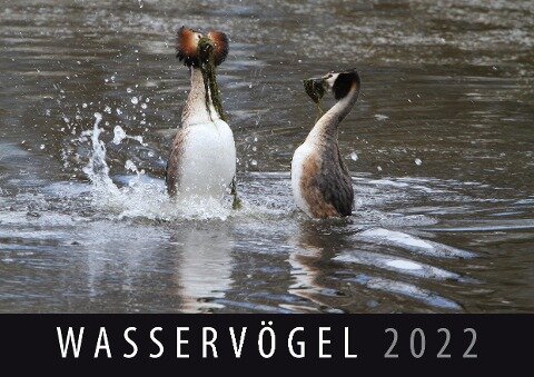 Wasservögel 2022 - 