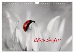 Glückskäfer (Wandkalender 2026 DIN A4 quer), CALVENDO Monatskalender - Heike Hultsch