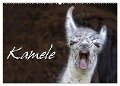 Kamele (Wandkalender 2024 DIN A2 quer), CALVENDO Monatskalender - Martina Berg