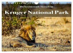 Faszinierende Tierwelt des Kruger National Parks (Wandkalender 2026 DIN A4 quer), CALVENDO Monatskalender - Stephan Henting