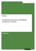 Cover-Bild zum Titel 'Sozialisationsinstanzen in Wolfgang Herrndorfs "Tschick"' von 'Anonymous'