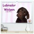 Labrador Welpen - Labrador Puppies (hochwertiger Premium Wandkalender 2024 DIN A2 quer), Kunstdruck in Hochglanz - Jeanette Hutfluss