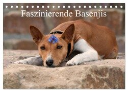 Faszinierende Basenjis (Tischkalender 2026 DIN A5 quer), CALVENDO Monatskalender - Angelika Joswig