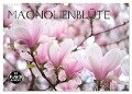 Magnolienblüte (Wandkalender 2024 DIN A3 quer), CALVENDO Monatskalender - Gisela Kruse