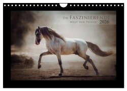 Die Faszinierende Welt der Pferde (Wandkalender 2026 DIN A4 quer), CALVENDO Monatskalender - Sabrina Mischnik