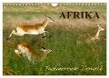Afrika - Faszinierende Tierwelt (Wandkalender 2024 DIN A4 quer), CALVENDO Monatskalender - Nadine Haase
