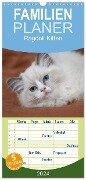 Familienplaner 2024 - Ragdoll Kitten mit 5 Spalten (Wandkalender, 21 x 45 cm) CALVENDO - Fotodesign Verena Scholze