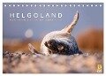 Helgoland - Das Leben auf der Düne Helgolands (Tischkalender 2024 DIN A5 quer), CALVENDO Monatskalender - Lain Jackson